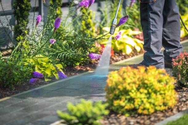 Best Pool Deck Cleaning  in Baldwinville, MA